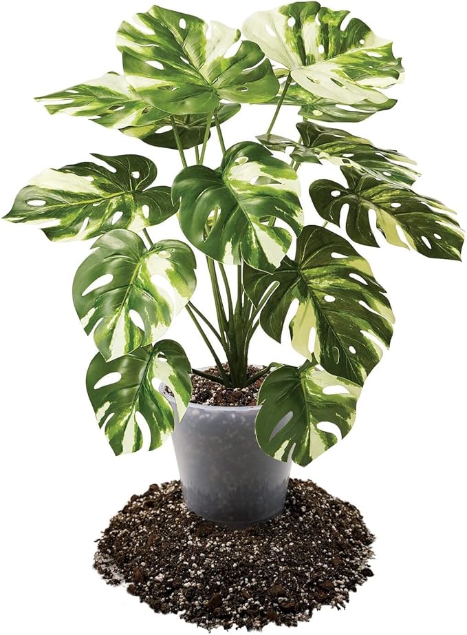Premium Aroid Potting Mix - 10 Quart - Soil Free Blend for Aroids - Growing Medium for House Plants by Gardenera - (2 Bags of 5 Quart)