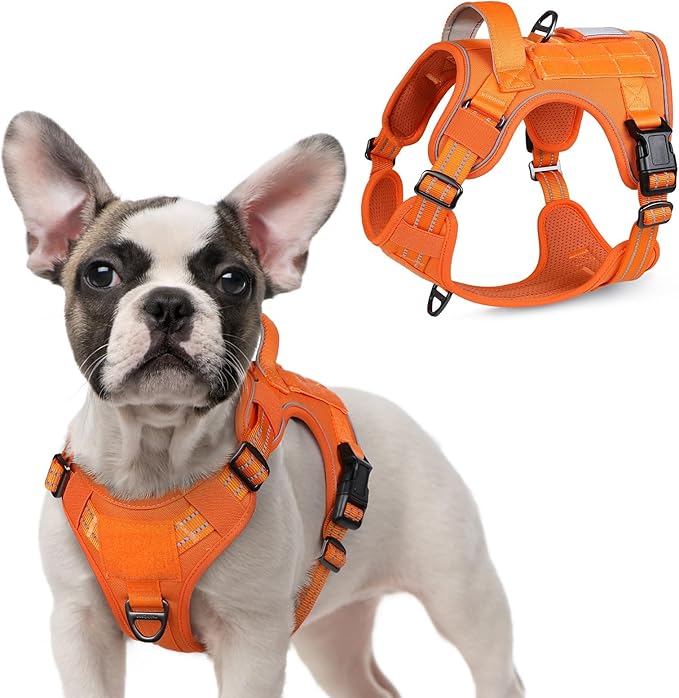 rabbitgoo Tactical Dog Harness for Small Dogs, No Pull Military Service Vest with Handle & Molle, Easy Control for Training Walking, Adjustable Reflective Straps, Orange, S