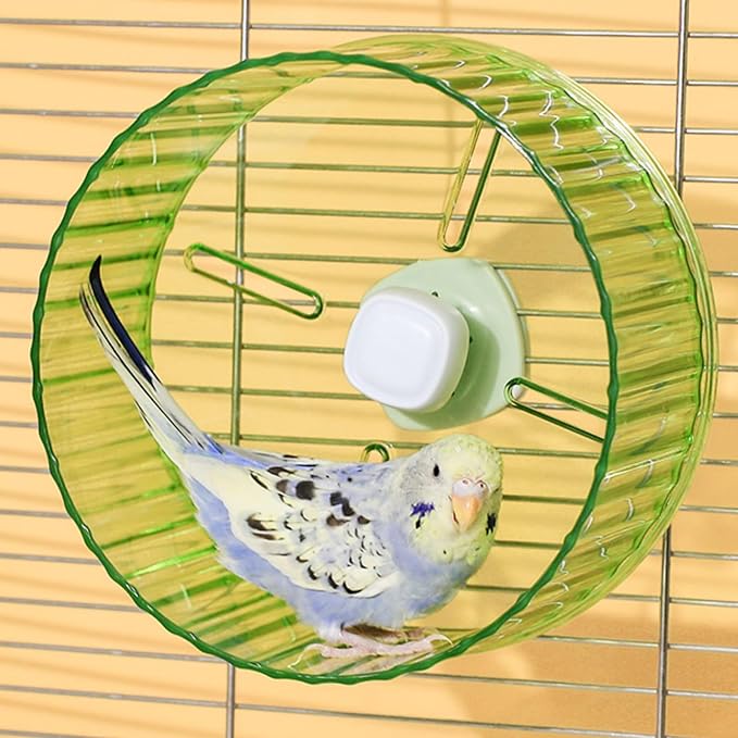 6.8-inch Parrot Silent Running Wheel, Parrot Exercise Wheel, Birds, Parrots, Turtles, Hamsters, Small Animal Quiet Running Wheel (Green)