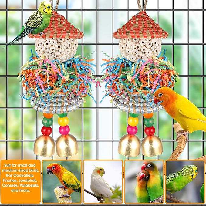 2PCS Bird Toys Parrot Foraging Shredder Hanging Toys Sola Balls with Bell for Small Parrots Parakeets Cockatiel Conures Love Birds Budgie Cage Toy