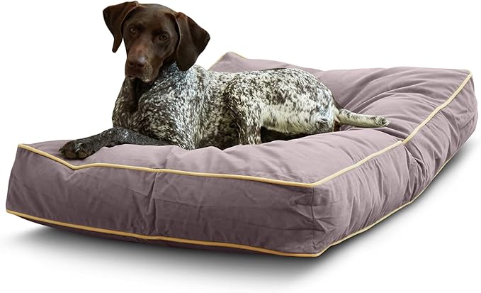 Buster Reversible Rectangle Pillow Style Dog Bed, Smoke, Medium (42 x 30 in.)