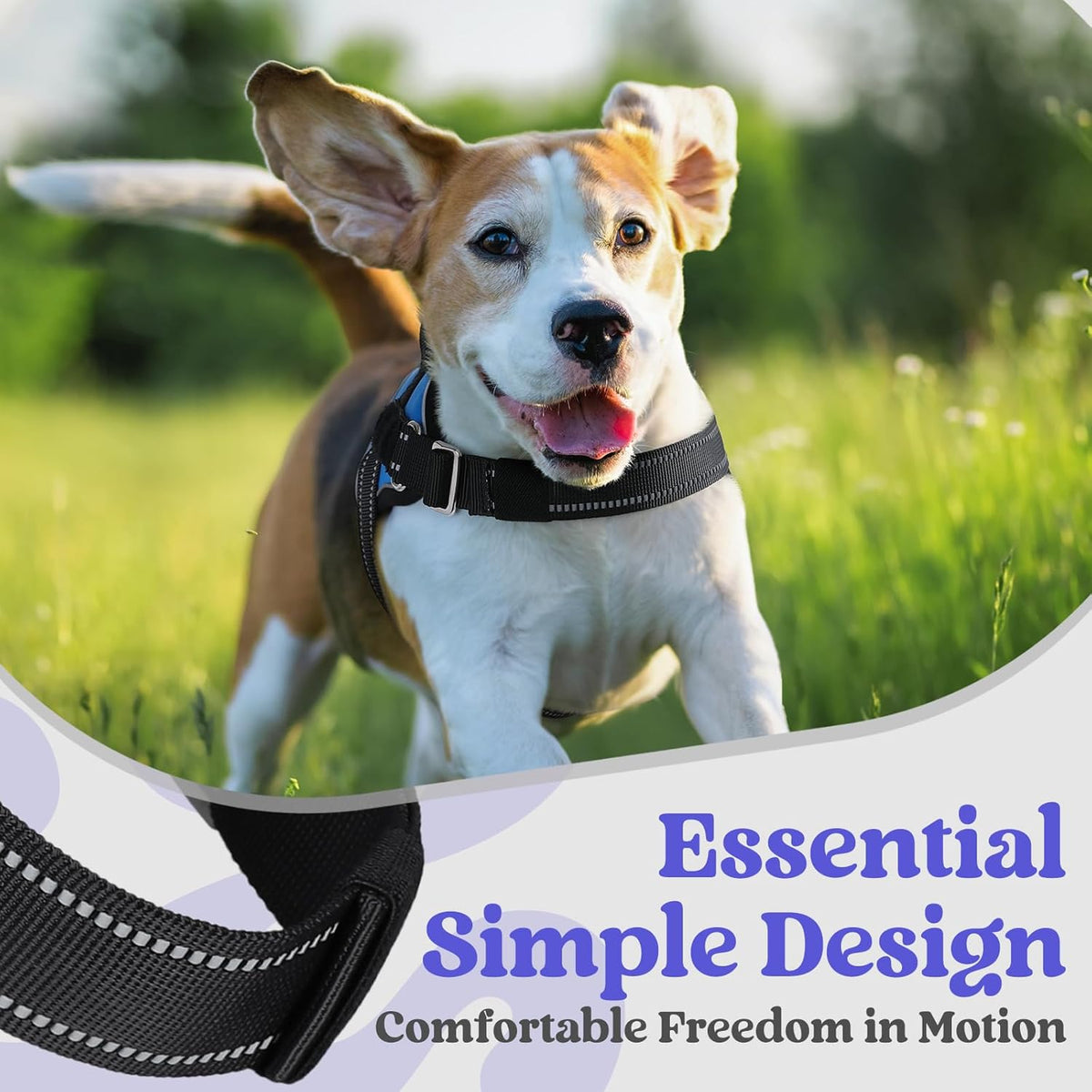 rabbitgoo Dog Harness for Small, Easy On Pet Vest with One Buckle, No Pull Adjustable Service Harness with D-Ring & Handle, Reflective for Safety Walking, Training, Blue, S