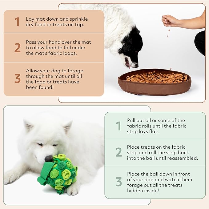 Reggie Enrichment Value Pack for Dogs with Stimulating Feeder Mat and Forager Ball to Relieve Speed Eating, Boredom, Stress | Vet-Approved & Ideal for All Ages, Dog Breeds, and Sizes