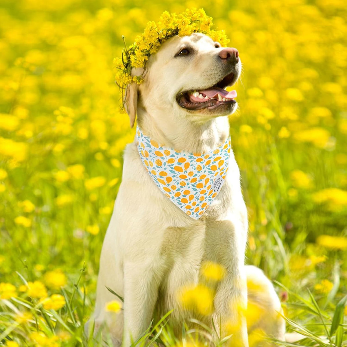 E-Clover Yellow Floral Dog Bandanas & Matching Scrunchie Set Cute Dog Scarf Bibs Pet Bandana with Bow Tie for Medium Large Dogs Owner Mom Spring Summer