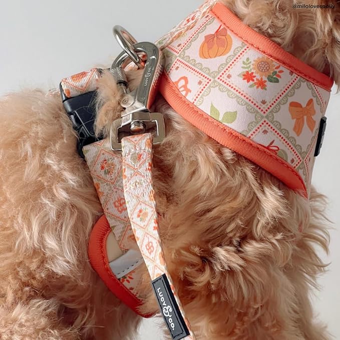 Lucy & Co. Cute Reversible Dog Harness Walking Halter - Best Designer Pet Harnesses for XS - XL Dogs - Padded Adjustable Vest for Easy Walking-X-Small-Orange Cream Pumpkin