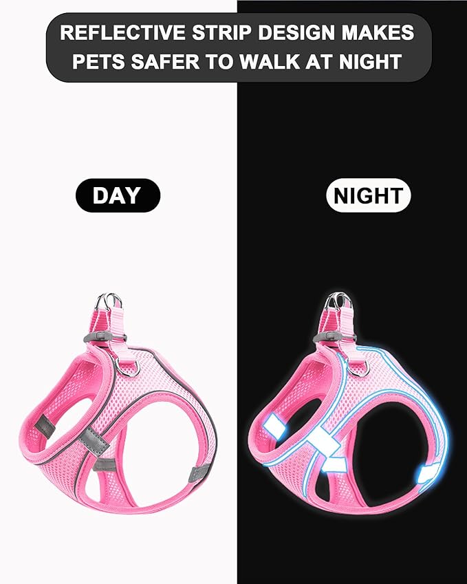 XXXS Orange Soft Mesh Dog Harness and Leash Set,No Escape Puppy Harnesses for Training Walking， Reflective Adjustable Puppy Vest for Small Medium Dogs, Cats (Orange, XXXS)