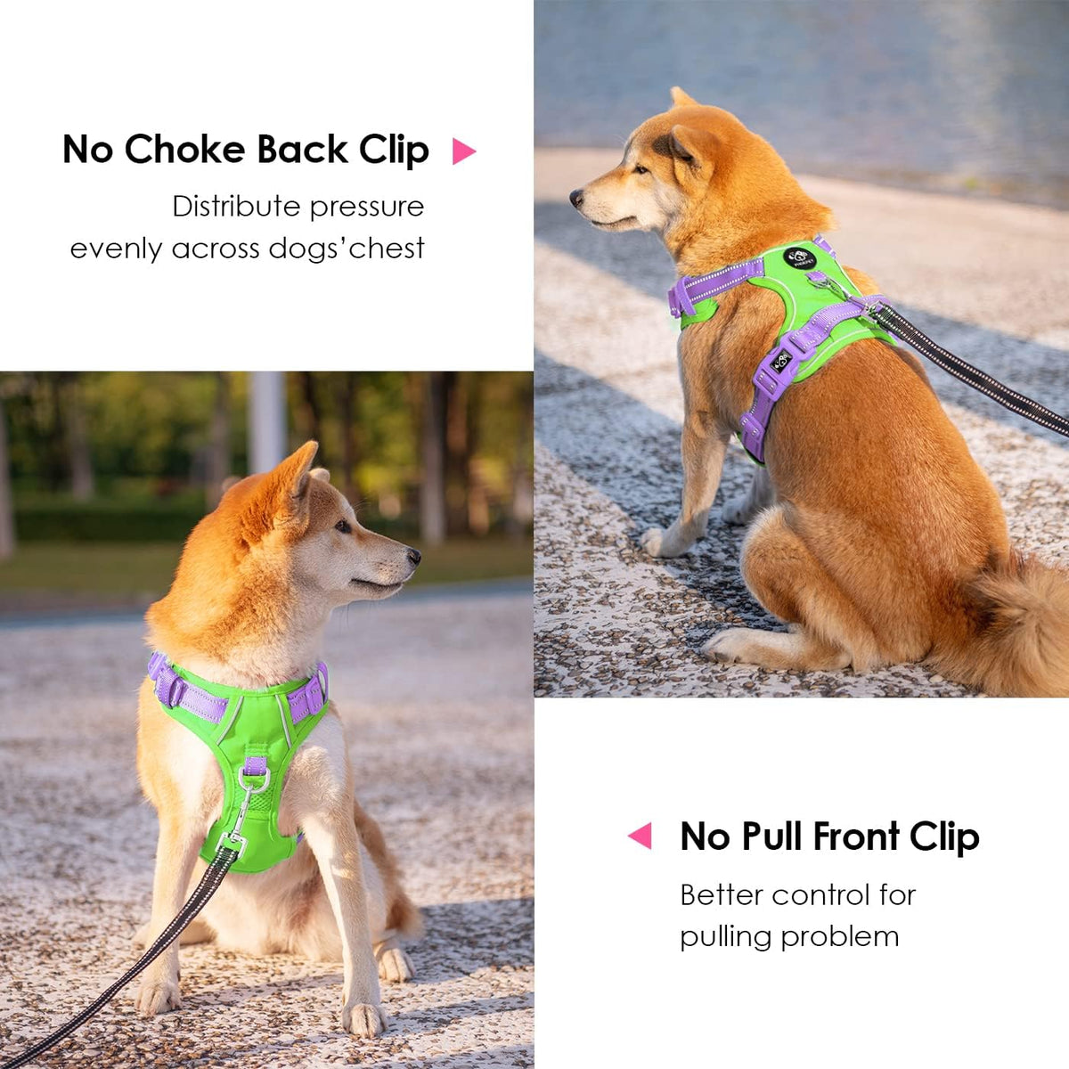 PHOEPET No Pull Dog Harness, Unique Colors Reflective Adjustable Dog Vest, with Soft Training Handle Metal Clips for Small Medium Large Dogs (Green Base & Purple Straps,L)