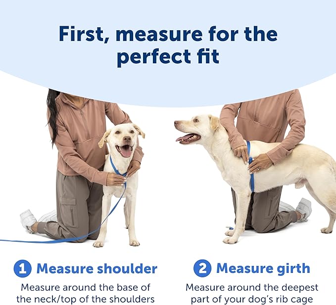 PetSafe Easy Walk Comfort No-Pull Dog Harness - Better Walk Training Harness - Full Body Padded Design - Durable Fabric - 5 Point Adjustable Fit - Everyday Leash Training - Black - X-Small