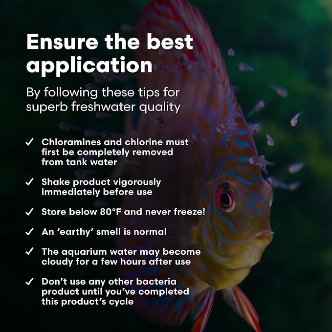 Brightwell Aquatics MicroBacter Start XLF - Concentrated Freshwater Nitrifying Bacteria - Quick Start Fish Tank Starter, Lift Microbe Levels & Water Filtering - Aquarium Water Treatments, 33.8 fl oz