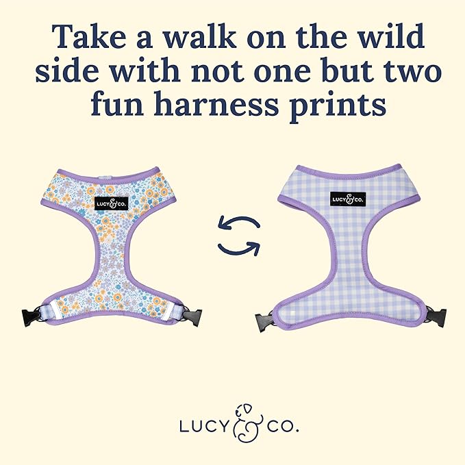Lucy & Co. Cute Reversible Dog Harness Walking Halter - Best Designer Pet Harnesses for XS - XL Dogs - Padded Adjustable Vest for Easy Walking (Small, Among The Wildflowers - Purple Floral)