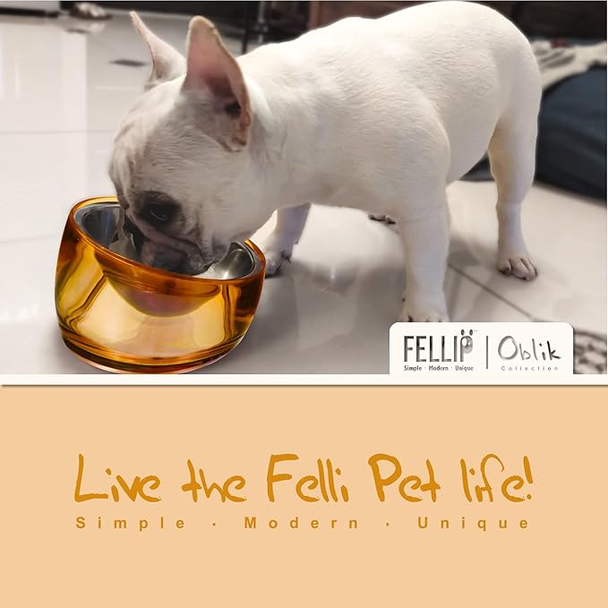 Felli Pet Oblik Acrylic Raised Dog Food Water Bowl Stainless Steel Slanted Oval Dish for Short Leg Puppy & Small Medium Pet, Elevated Tilted Metal Feeder Angled Plastic Spill Proof (1.5Cups, Gold)