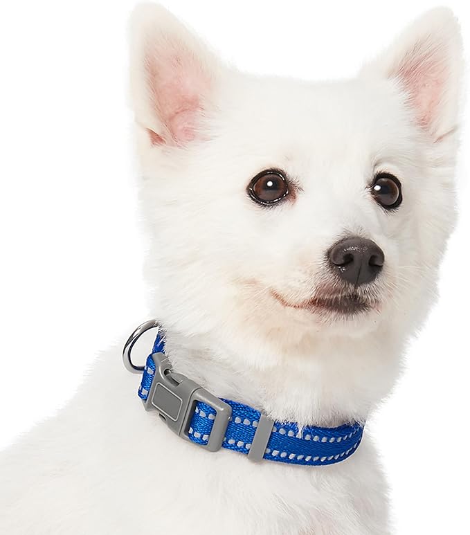 Blueberry Pet Essentials Reflective Dog Collar & Leash Set, Adjustable for Small Dogs | Safe Walking Gear for Pet Parents, Puppy Training & Daily Use SmallDogs, Navy