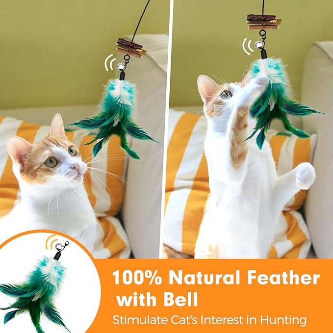 Cat Wand Toy, Cat Feather Toys with Silvervine & Bells, 2 * Teaser Wand & 6 * Teaser Refills, Extra Long 38.5" Wire Wand, Toy for Indoor Cats & Kitten & Kitty