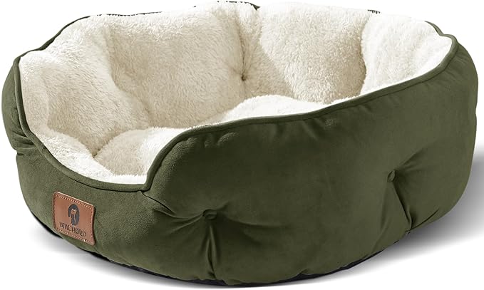 Asvin Small Dog Bed for Small Dogs, Cat Beds for Indoor Cats, Pet Bed for Puppy and Kitty, Extra Soft & Machine Washable with Anti-Slip & Water-Resistant Oxford Bottom, Green, 20 inches