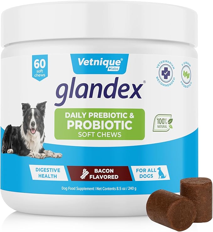 Vetnique Glandex Daily Probiotics for Dogs with Prebiotics to Support Gut Health with Fiber and Digestive Enzymes, Probiotic Chews or Powders (60ct Chews, Bacon Chews)