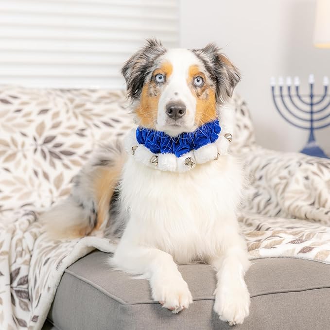 Huxley & Kent Ruff Pet Scrunchy | Hanukkah (Medium) | Festive Christmas/Holiday Neckwear for Dogs/Cats | Fun Stretchable Costume Accessory | Soft Collar with Bells