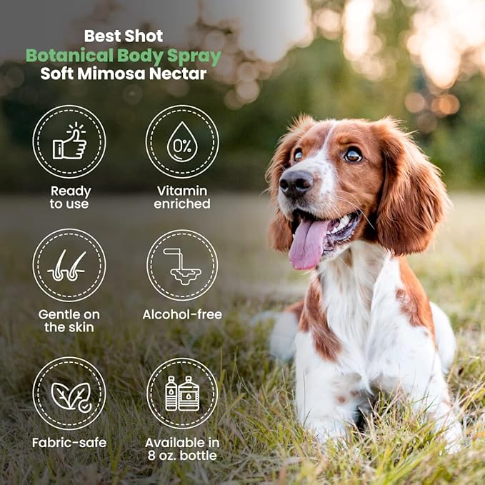 Best Shot Scentament Spa Botanical Body Splash, Body Spray Conditioner for Pets, Cat and Dog Cologne Spray, Soft Mimosa Nectar, 8 Oz.