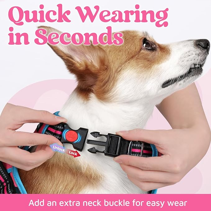 rabbitgoo Dog Harness for Large Dogs, No Pull Pet Vest with 3 Buckles, Adjustable Soft Padded Pet Harness with Easy Control Handle and Reflective Strips, Rose Pink & Blue, L