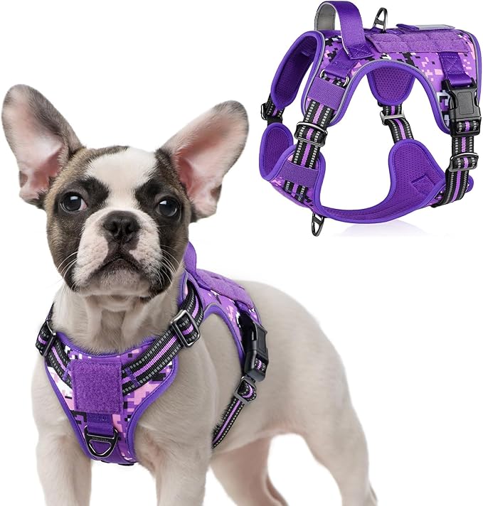 rabbitgoo Tactical Dog Harness for Small Dogs, No Pull Military Service Vest with Handle & Molle, Easy Control for Training Walking, Adjustable Reflective Straps, Purple Camo, S