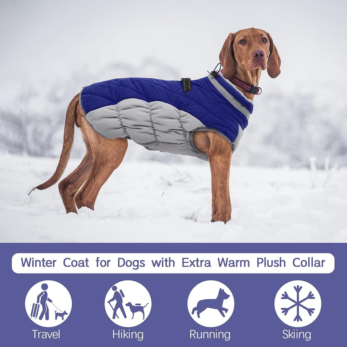 FUAMEY Dog Coat for Small Dogs,Waterproof Dog Winter Jacket with Harness Built in Puppy Cold Weather Coats Reflective Pet Vest with Zipper Warm Fleece Dogs Snowsuit Windproof Blue S