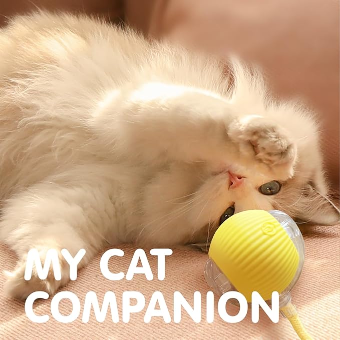 Rocfish Durable Interactive Cat Toys for Indoor Cats, Smart Automatic Cat Chase Ball Toy, Upgraded Speedy Tail Kitten Toy for Bored Indoor Adult Pets (Yellow)