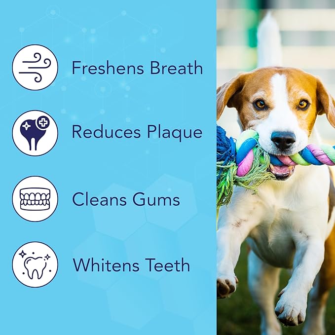 NOVEHA Pets Dental Finger Wipes for Dogs & Cats | Freshens Breath, Reduces Plaque | Healthier Gums | Clean Teeth No Toothbrush | Vet Recommended Effective Natural Oral Care (50 pcs, Mint)