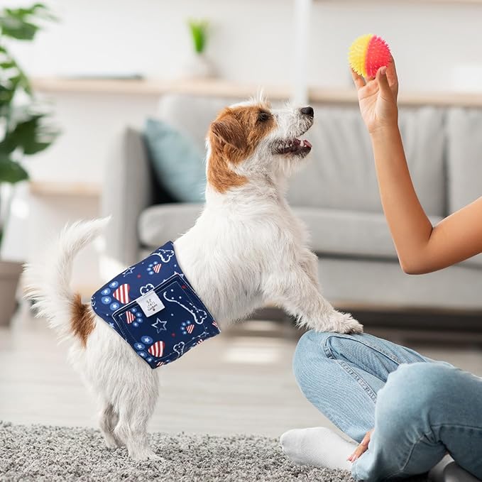 CuteBone Dog Diapers Male Belly Bands 3 Pack for Male Dogs Reusable Puppy Wraps DM66XS