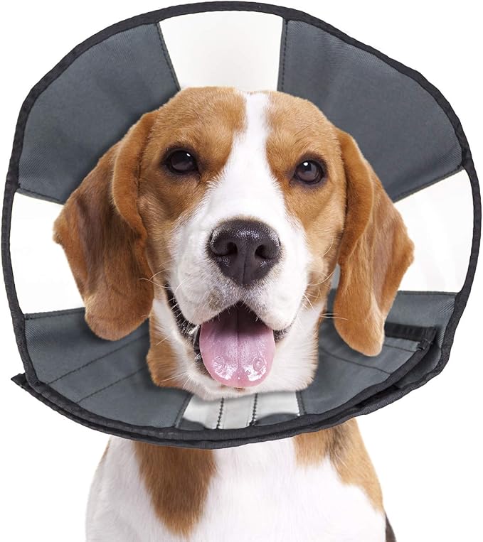 ZenPet Pet Recovery Cone E-Collar for Dogs and Cats - Always Use with Your Pet's Everyday Collar - Comfortable Soft Collar is Adjustable for a Secure and Custom Fit (Medium)