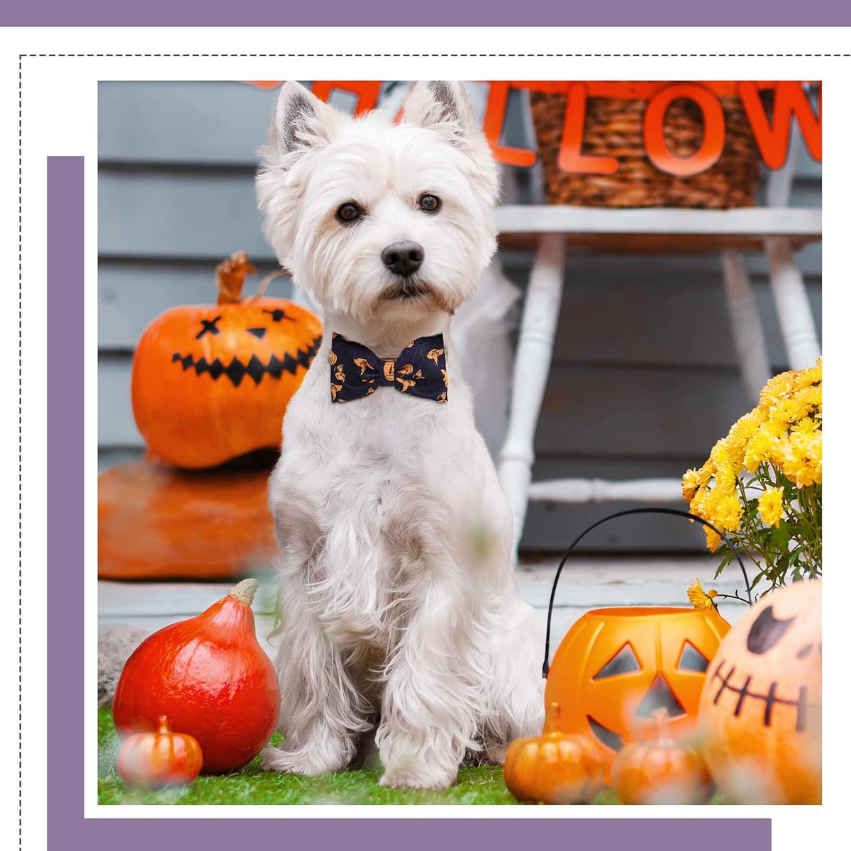 16 Pieces Dog Bow Ties Slide Dog Collar Bows Summer Hawaiian Styles Dog Collar Attachment Bows with Rubber Bands Dog Bow Ties for Large Dogs Spring Summer Grooming Independence Day (Horror Style)