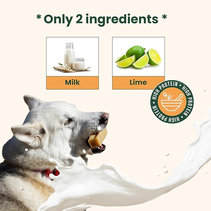 Authentic Himalayan Yak Cheese for Dogs - XLarge (Pack of 2) - Sourced from Pristine Himalayan Foothill, Rawhide-Free, NO preservatives