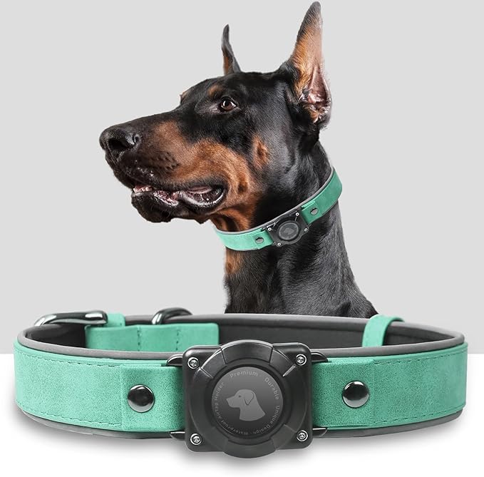 AirTag Dog Collar - Leather Dog Collar with Air Tag Holder | IPX8 Waterproof, Reflective, High - End, Adjustable Soft Padded | Dog GPS Tracker Collars Fit for Medium Large Dogs (Teal, M)