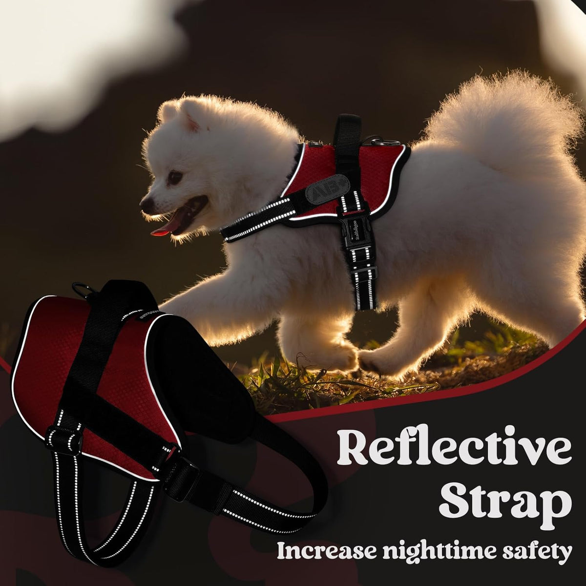 rabbitgoo Dog Harness for Small, Easy On Pet Vest with One Buckle, No Pull Adjustable Service Harness with D-Ring & Handle, Reflective for Safety Walking, Training, Red, S