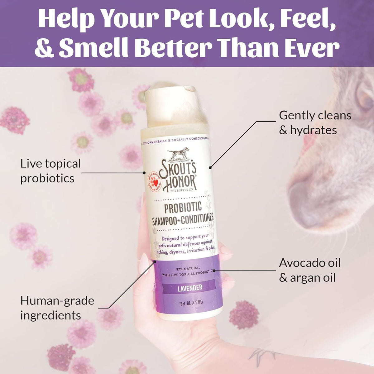 Skout's Honor Probiotic Dog Shampoo & Conditioner with Avocado Oil & Omega-3s, 97% Natural, Paraben & Sulfate-Free, Cruelty-Free, 16oz, Lavender