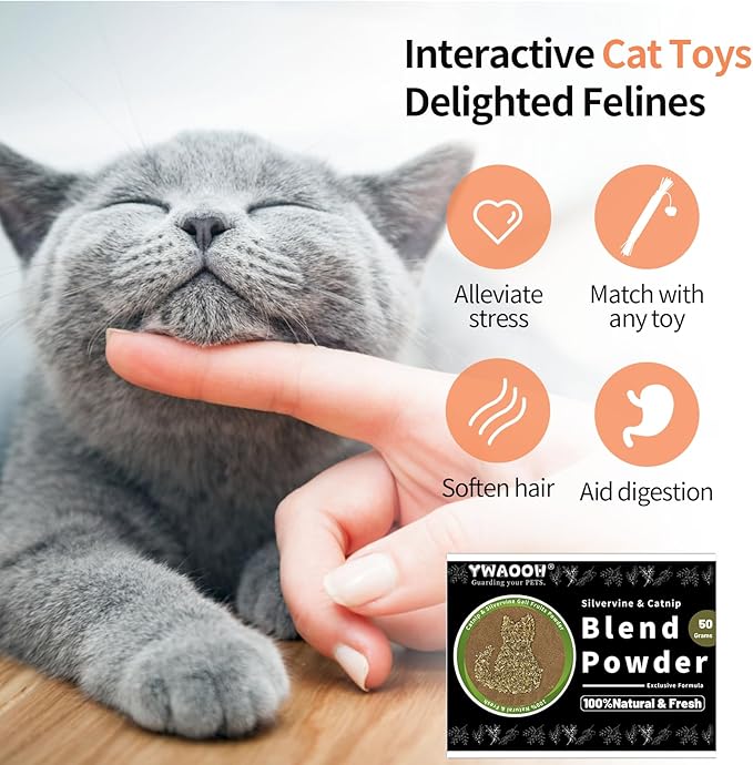 Catnip & Silvervine Powder – 50g Blend of Silvervine Gall Fruit & Catnip, Non-Addictive, for All Cat Ages, Multi-Use with Toys, Scratchers & Protecting Furniture, with 5 Little Pouches