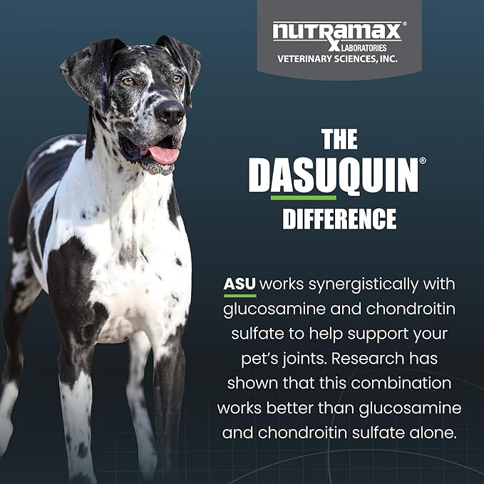 Nutramax Dasuquin with MSM Chewables, Large Dog, 150 Count