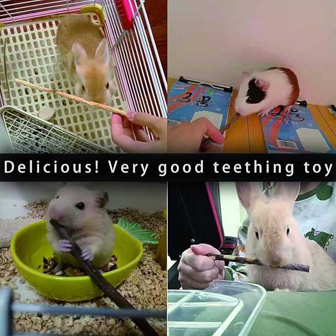 Natural Apple Sticks, 300g Treats Food for Small Animals, Chew Toys for Chinchilla Guinea Pigs Rabbit Squirrel Hamster Bunny