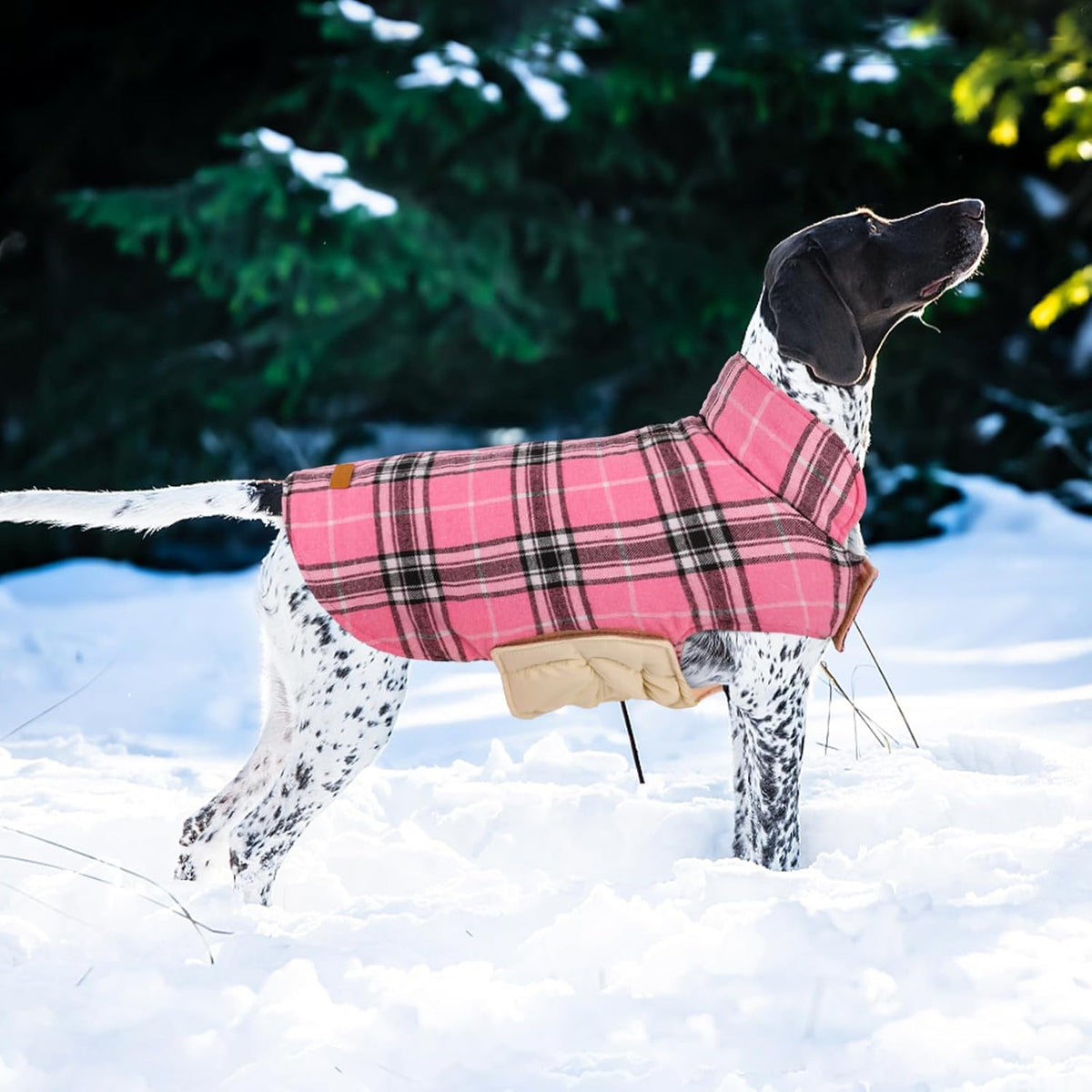 Kuoser Waterproof Dog Coat, Reversible Dog Jacket for Small Dogs, Adjustable Durable Doggie Winter Coat Warm Cozy Puppy Cold Weather Apparel from Small to Large Breed, Pink S