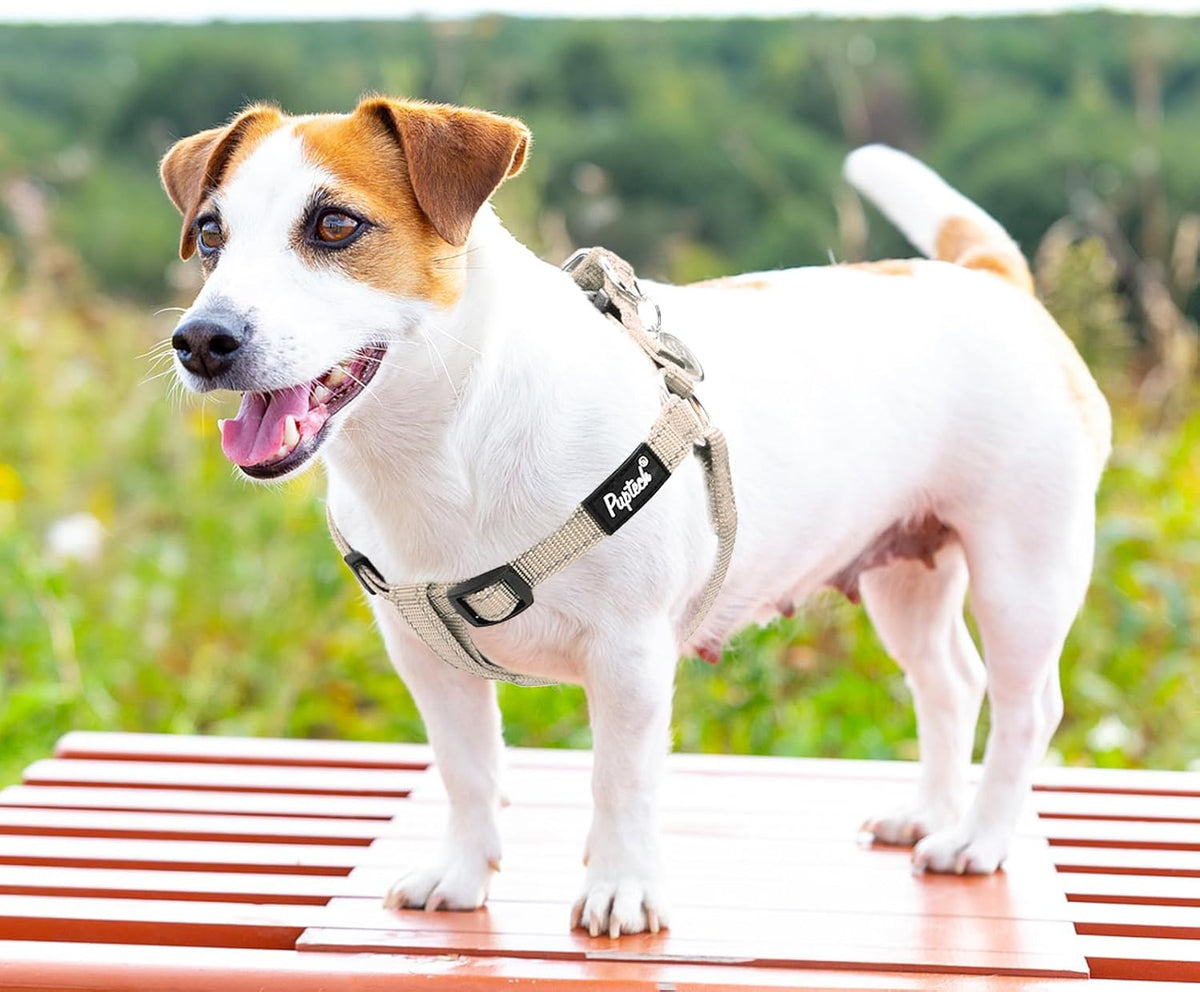 PUPTECK No Pull Dog Harness Soft Adjustable Basic Nylon Step in Puppy Vest Outdoor Walking with ID Tag, Reflecive Beige, S