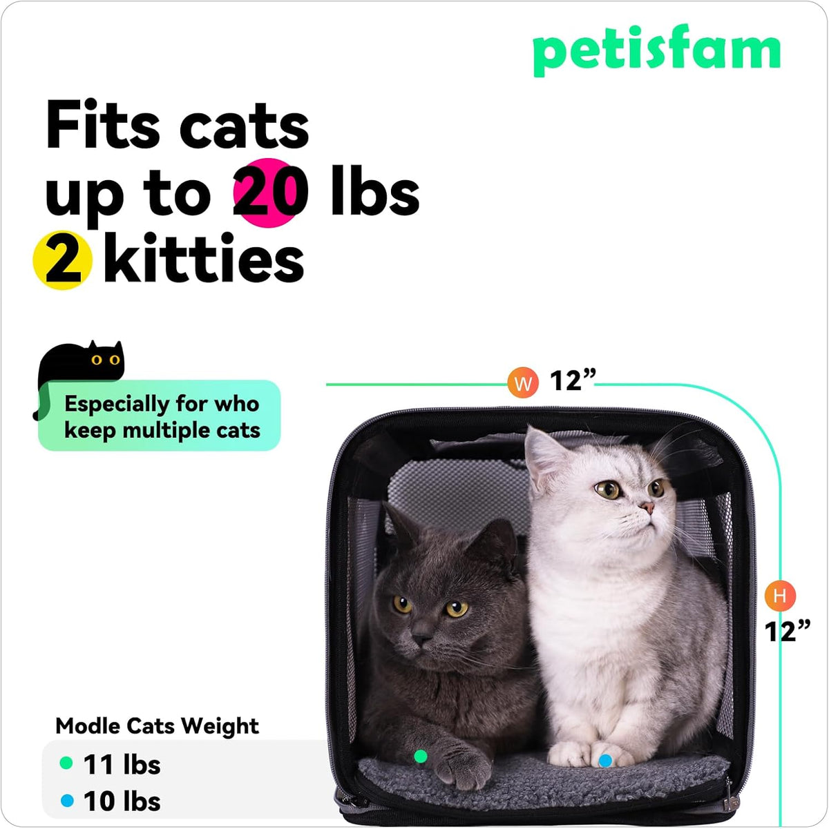 petisfam Soft Pet Carrier Bag for Cats and Puppy Under 20 lbs. Sturdy, Safe, Comfortable and Lightweight