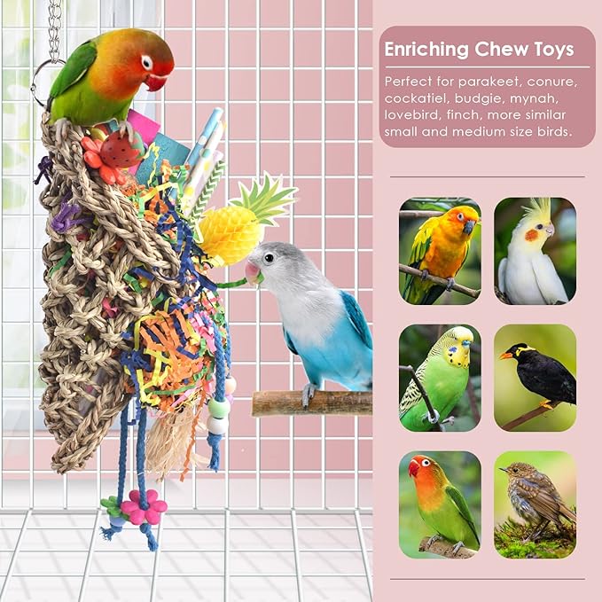 KATUMO Bird Toys, Seagrass Basket Toy with Array of Chewable Parrot Foraging for Small Medium Parrot Birds