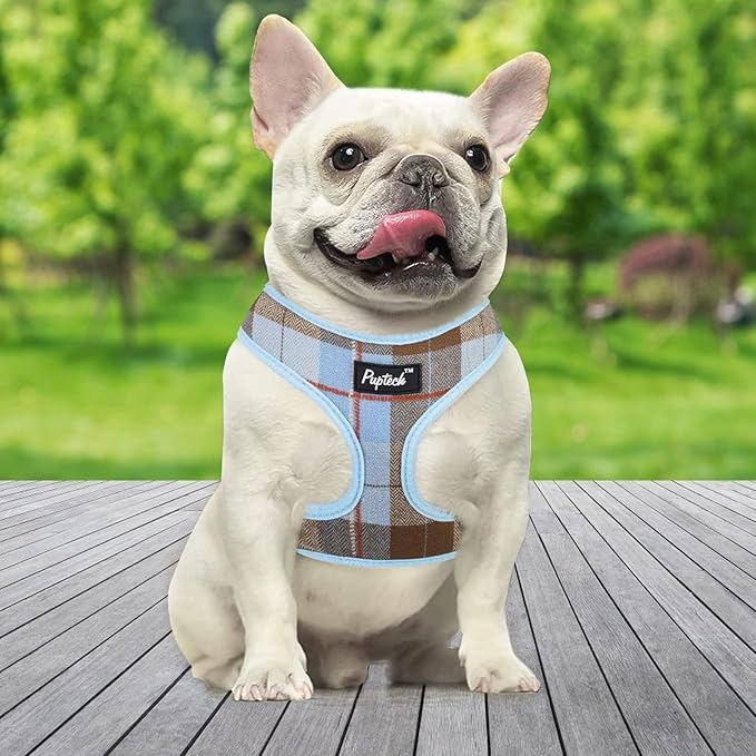 PUPTECK Soft Mesh Dog Harness and Leash Set Pet Puppy Cat Comfort Padded Vest No Pull Harnesses, Blue&Brown, S