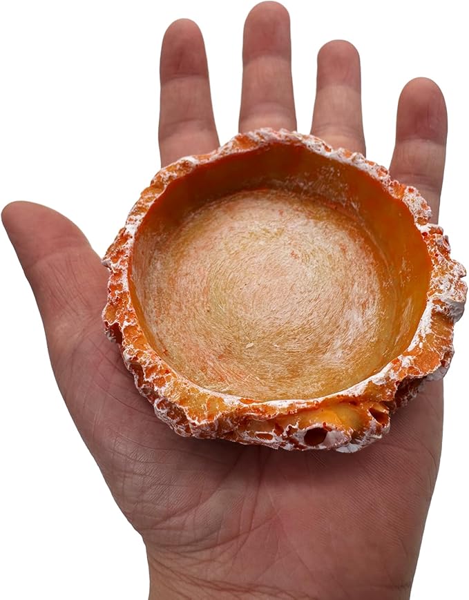 3 Pack Small Reptile Food and Water Bowls, Reptile Feeding Terrarium Bowls for Bearded Dragon Lizard Frog Gecko Tortoise Hermit Crab Snail (Orange B)
