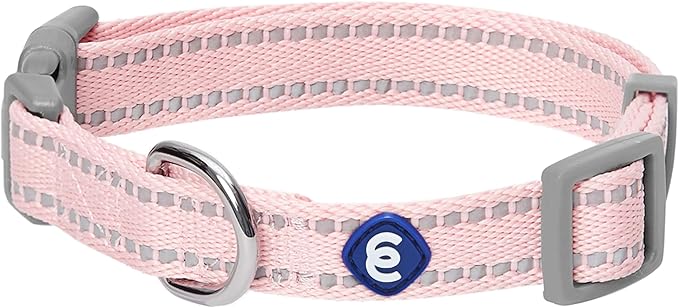 Blueberry Pet Essentials Matching Dog Collar & Leash Set | Pastel Reflective Adjustable Collar with 4 ft Lead for Large Dogs, Baby Pink