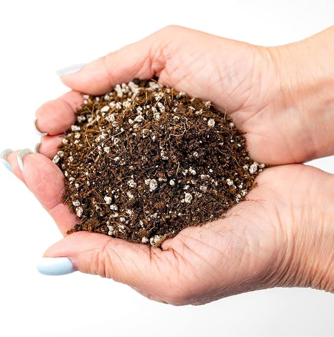 GARDENERA Premium Organic Potting Soil - 3 Quart - The Ideal Growing Medium for Delicious and Nutritious Homegrown Potatoes