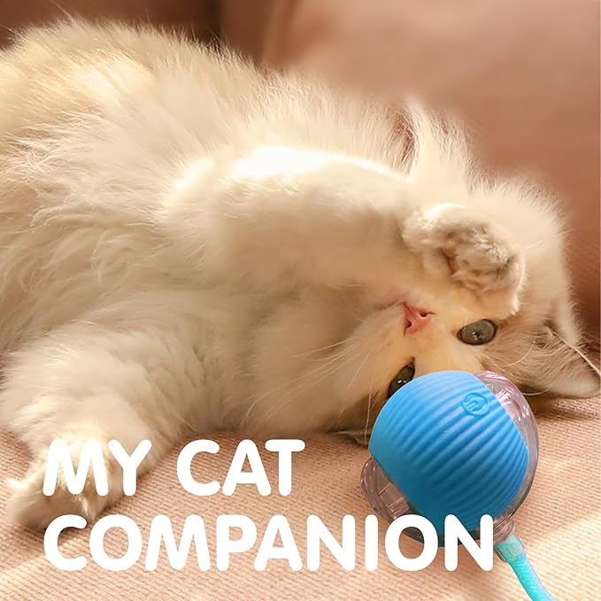 Rocfish Durable Interactive Cat Toys for Indoor Cats, Smart Automatic Cat Chase Ball Toy, Upgraded Speedy Tail Kitten Toy for Bored Indoor Adult Pets (Blue)