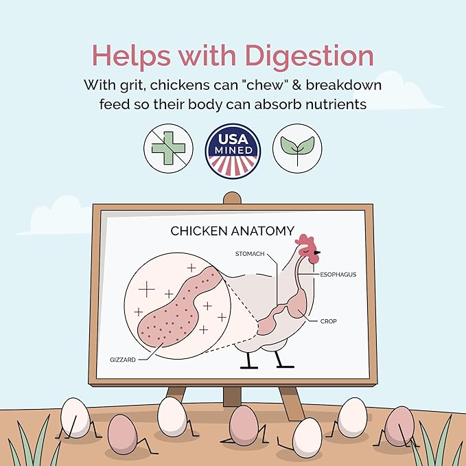 Mile Four Chicken Grit for Layer & Grower Chickens Age 8-20+ Weeks - 100% Natural Mineral Chicken Grit Quartzite, Poultry Grit, USA Mined, 4 lbs