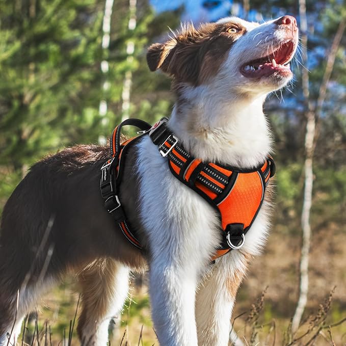 rabbitgoo Dog Harness Medium Sized, No Pull Dog Vest with 3 Buckles, Adjustable Soft Padded Pet Harness with Easy Control Handle and Reflective Strips, Orange, M