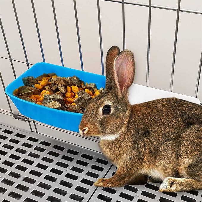 26 Pack Chicken Feeder Cups Rabbit Feeders for Cages 21 oz Waterer Cat Guinea Pig Treats Food Bowl Hanging Feeding Coop Dish Puppy Watering Container Drinker Pigeon Bird Bath