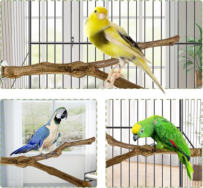kathson Natural Parrot Perch Bird Stand Pole Wild Grape Stick Paw Grinding Fork Parakeet Climbing Standing Branches Toy Chewable Cage Accessories for Small Budgies Cockatiels Lovebirds