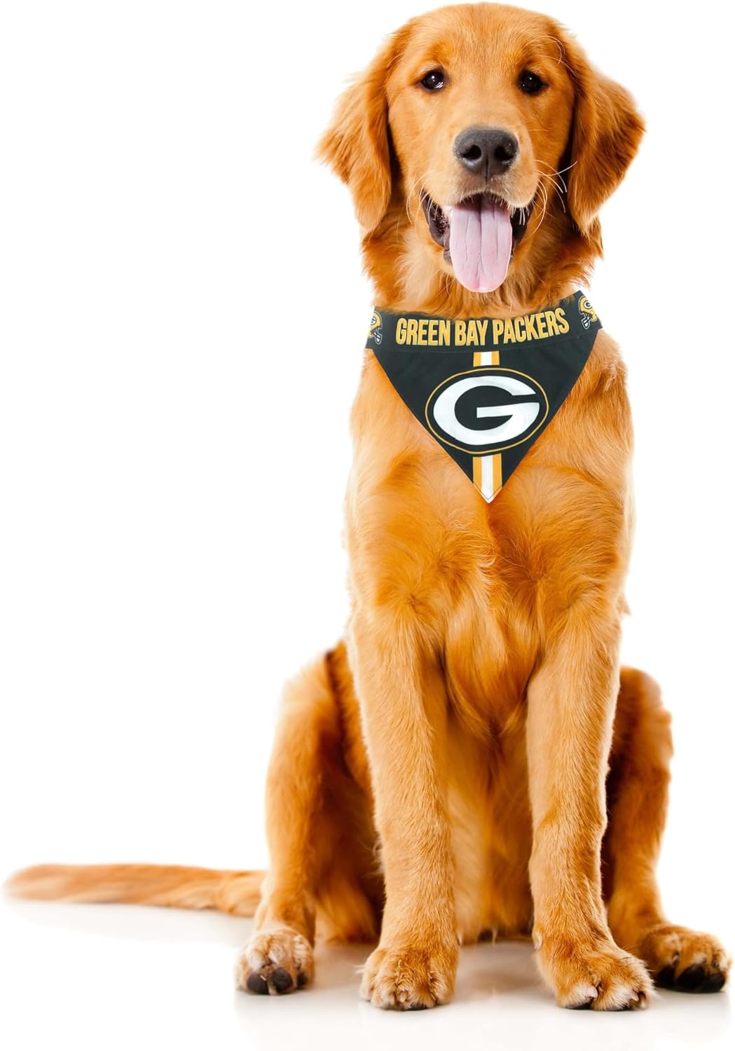 Littlearth NFL Pet Bandana - Reversible